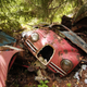 Image for article titled Get Lost In Europe's Largest Car Cemetery Hidden In The Swedish Woods